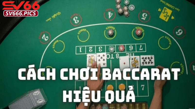 Baccarat trực tuyến Sv66